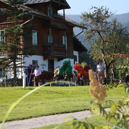 Gaestehaus Hoegerhof 호프가르텐 임 브릭젠탈 외부 사진